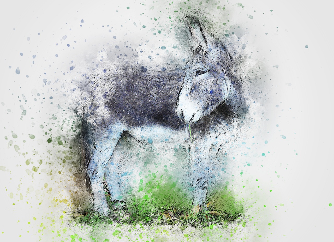 Read more about the article What Would the Donkey Say About Christmas?